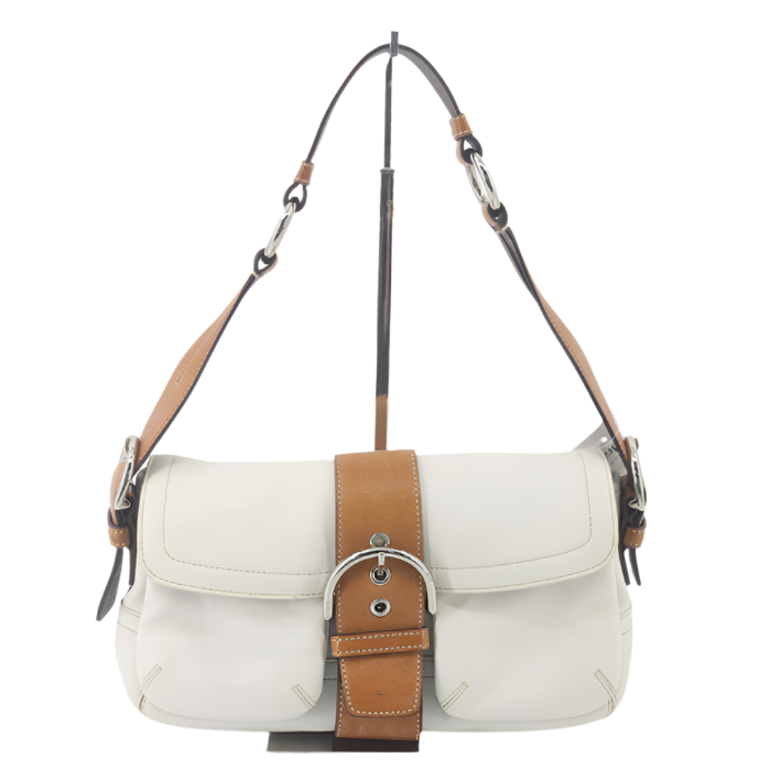 coach stunning soho signature bag