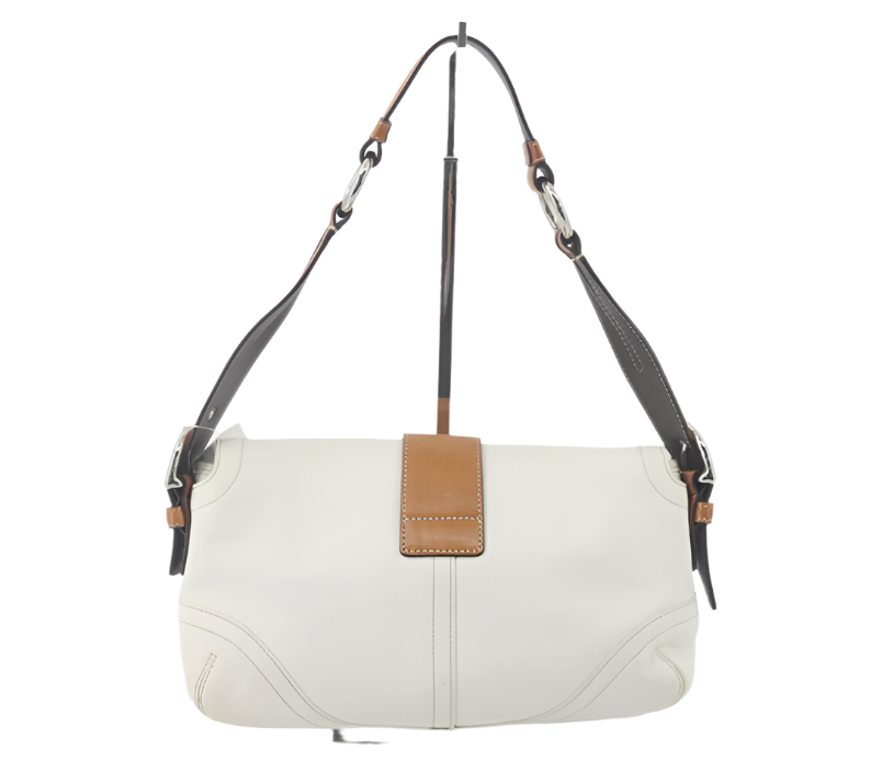 coach stunning soho signature bag