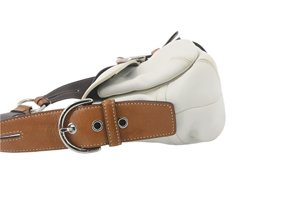 coach stunning soho signature bag