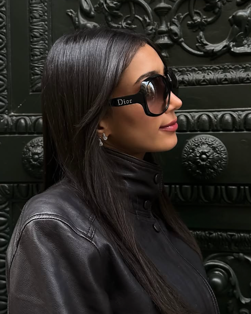 Christian Dior Iconic Sunglasses